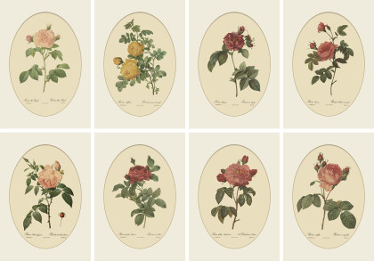 newflower-collection